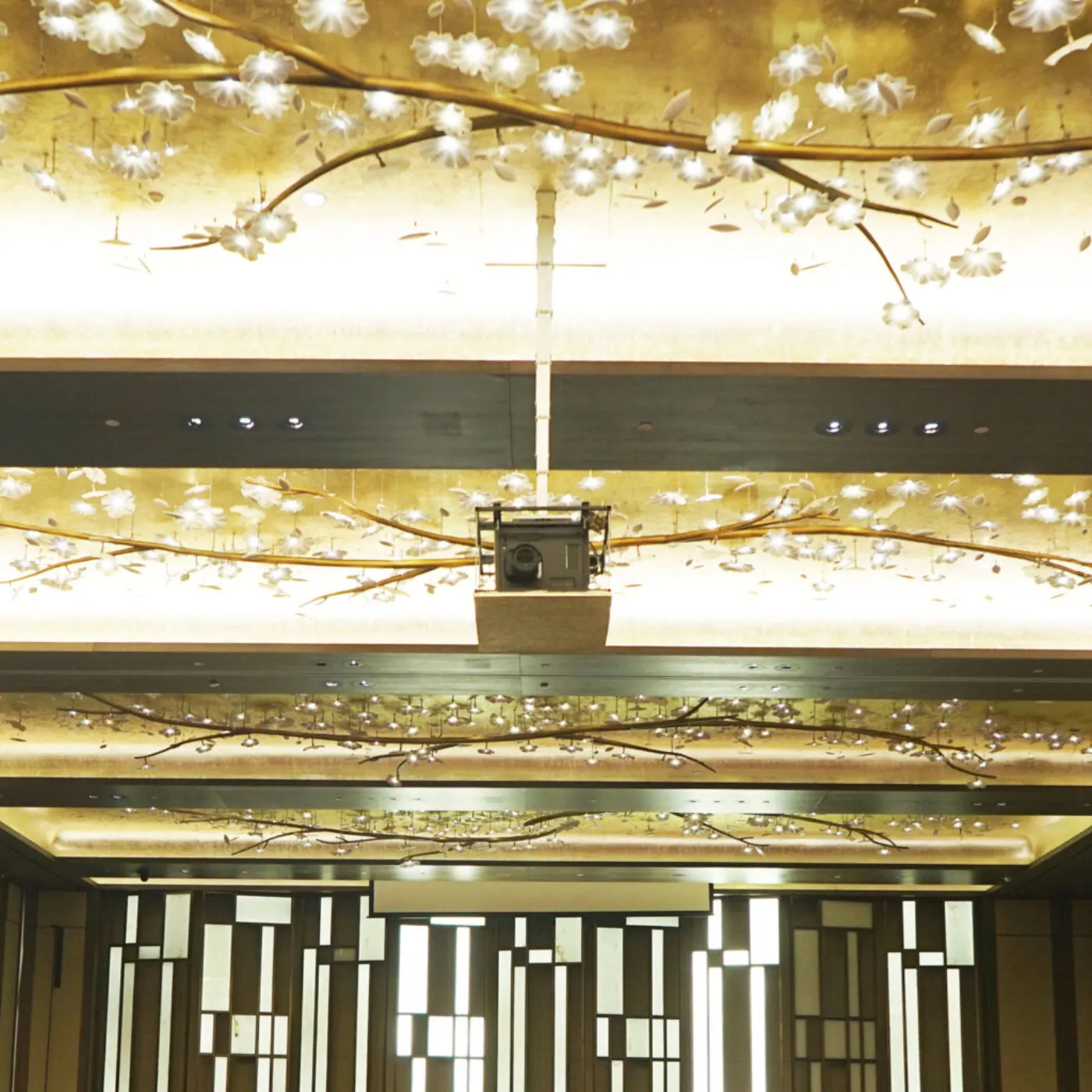 Lift máy chiếu âm trần PLA — hình ảnh chi tiết từ hãng