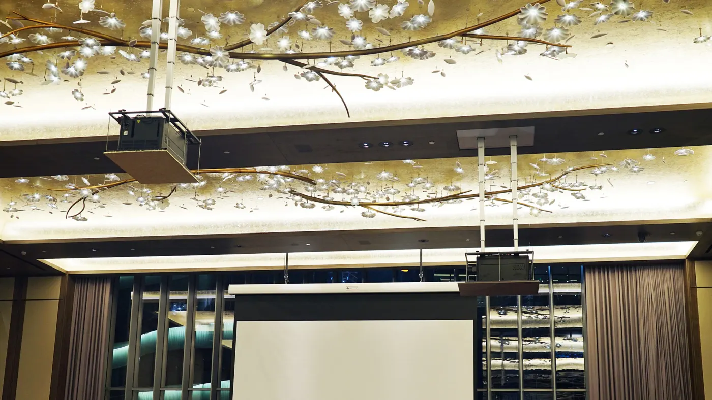 Lift máy chiếu âm trần PLF — hình ảnh chi tiết từ hãng